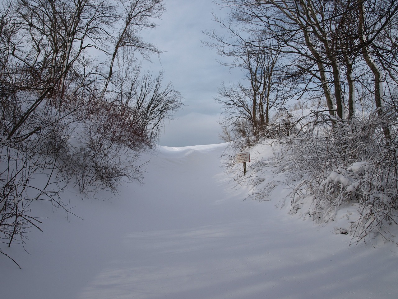 landscape winter snow free photo