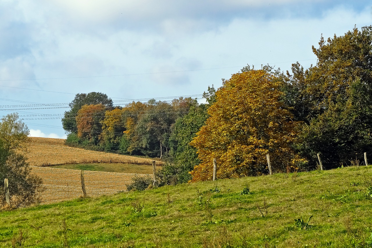 landscape autumn nature free photo