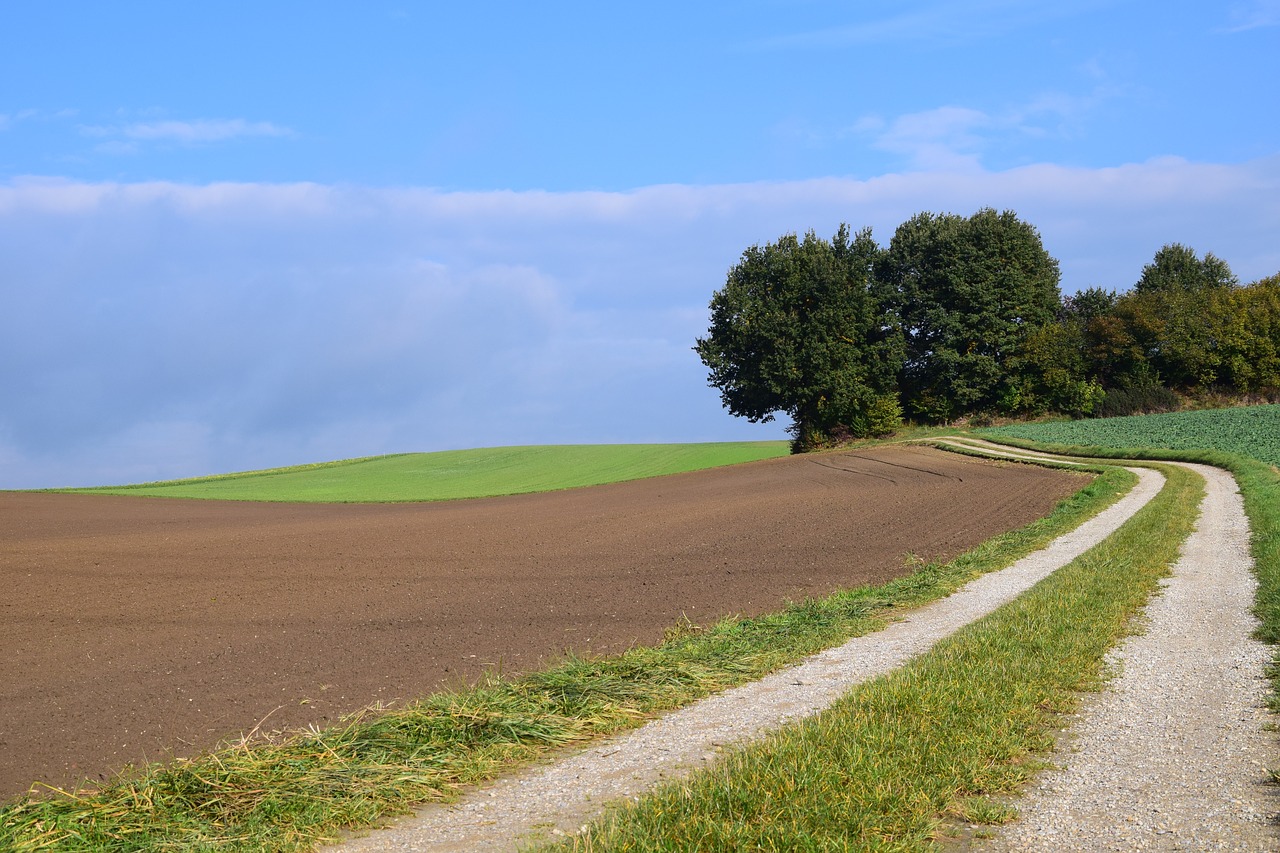 landscape trees nature free photo