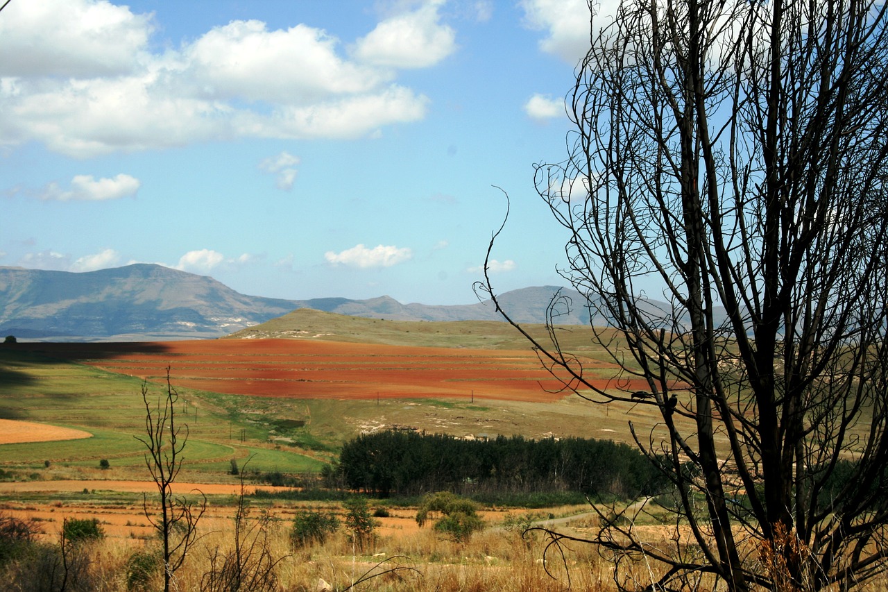 landscape veld mountains free photo