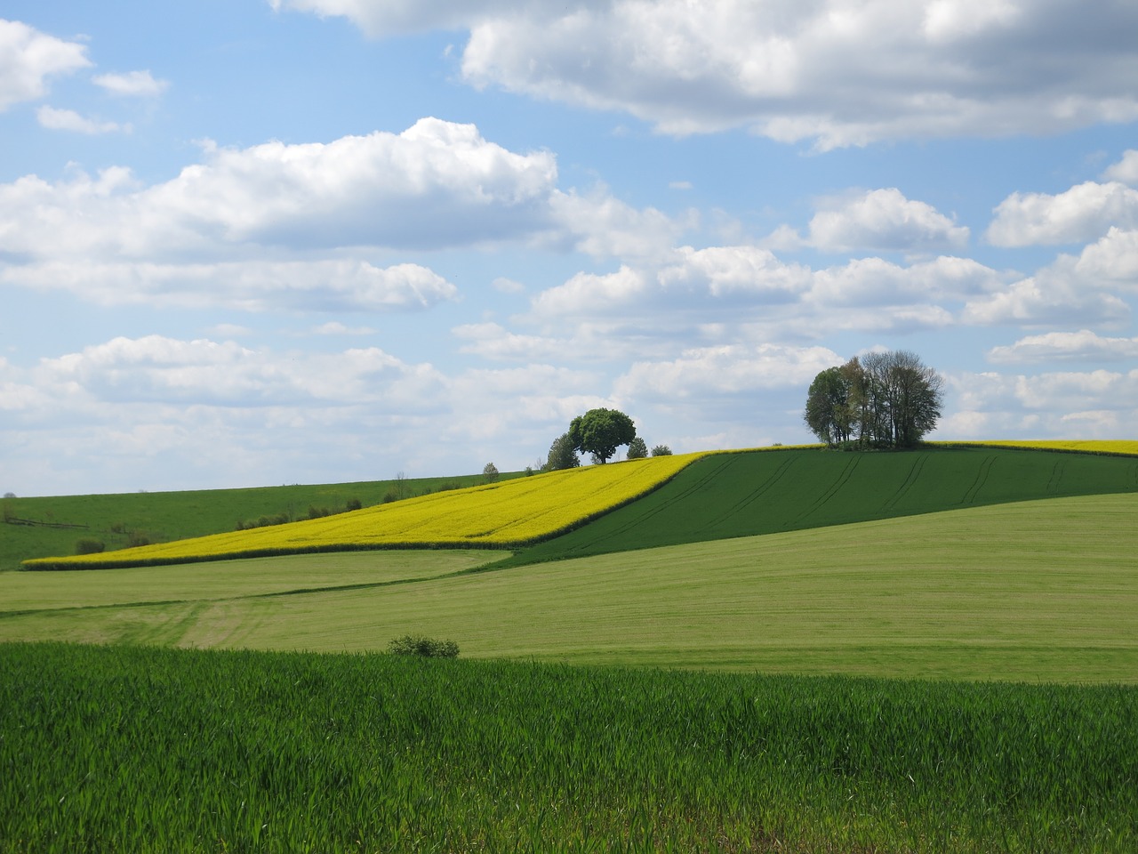 landscape spring clouds free photo