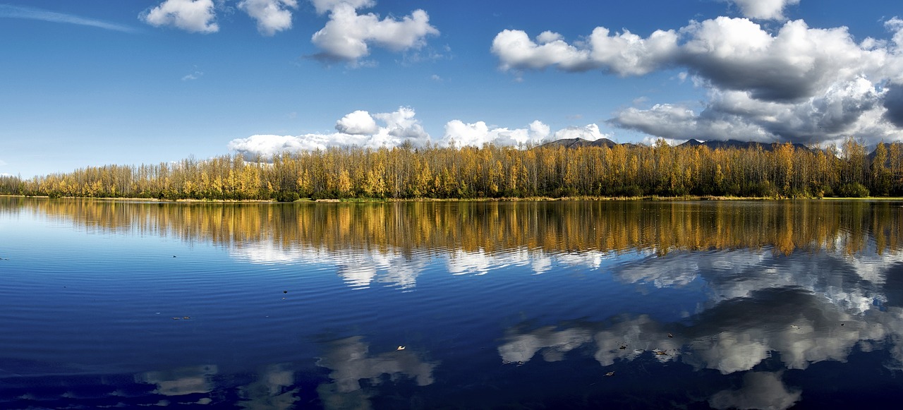 landscape scenic cheney lake free photo