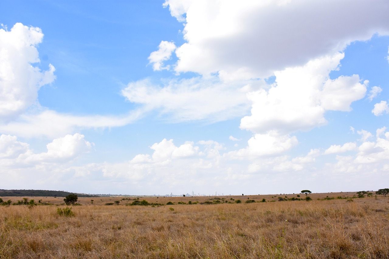landscape kenya savanna free photo