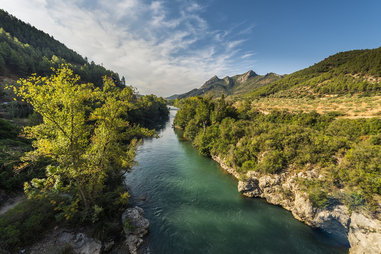 landscape mountains river free photo