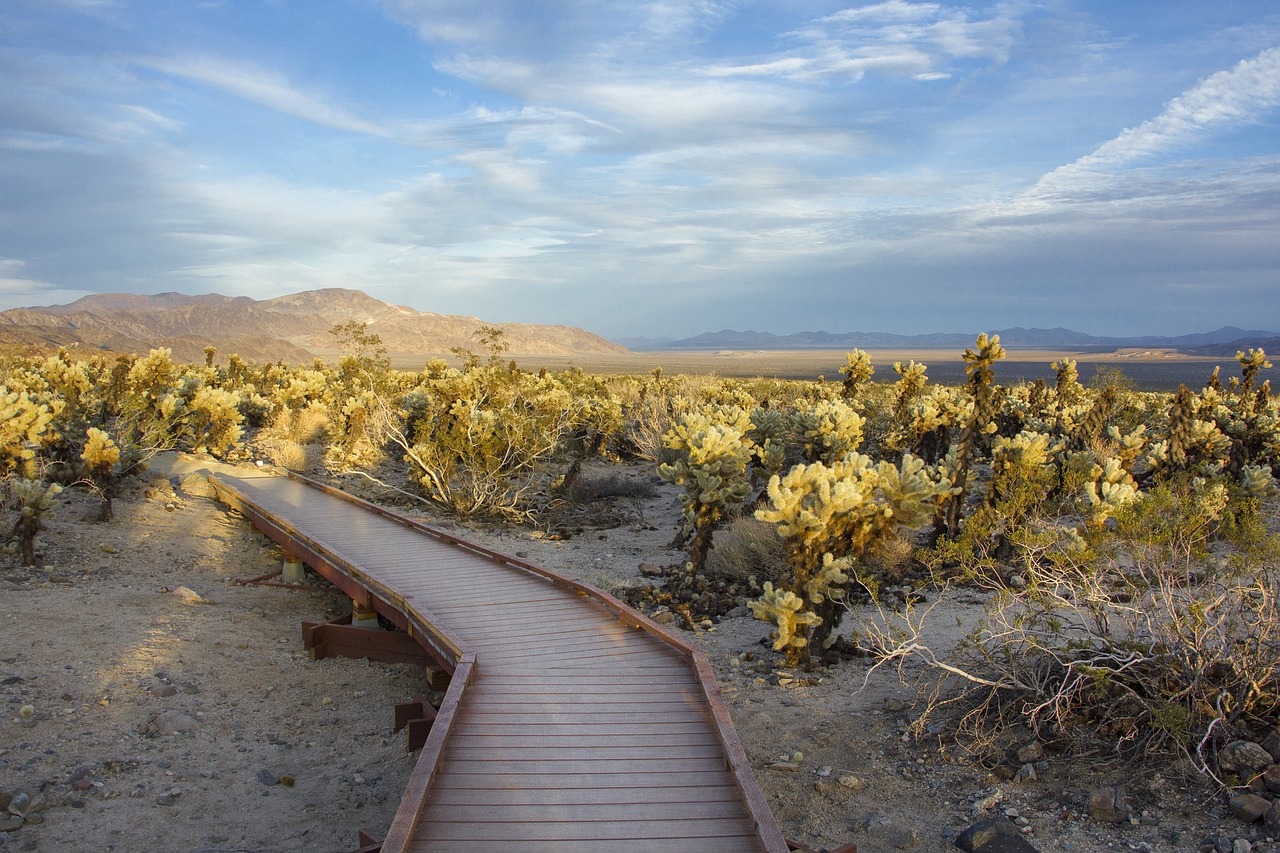 landscape scenic desert free photo