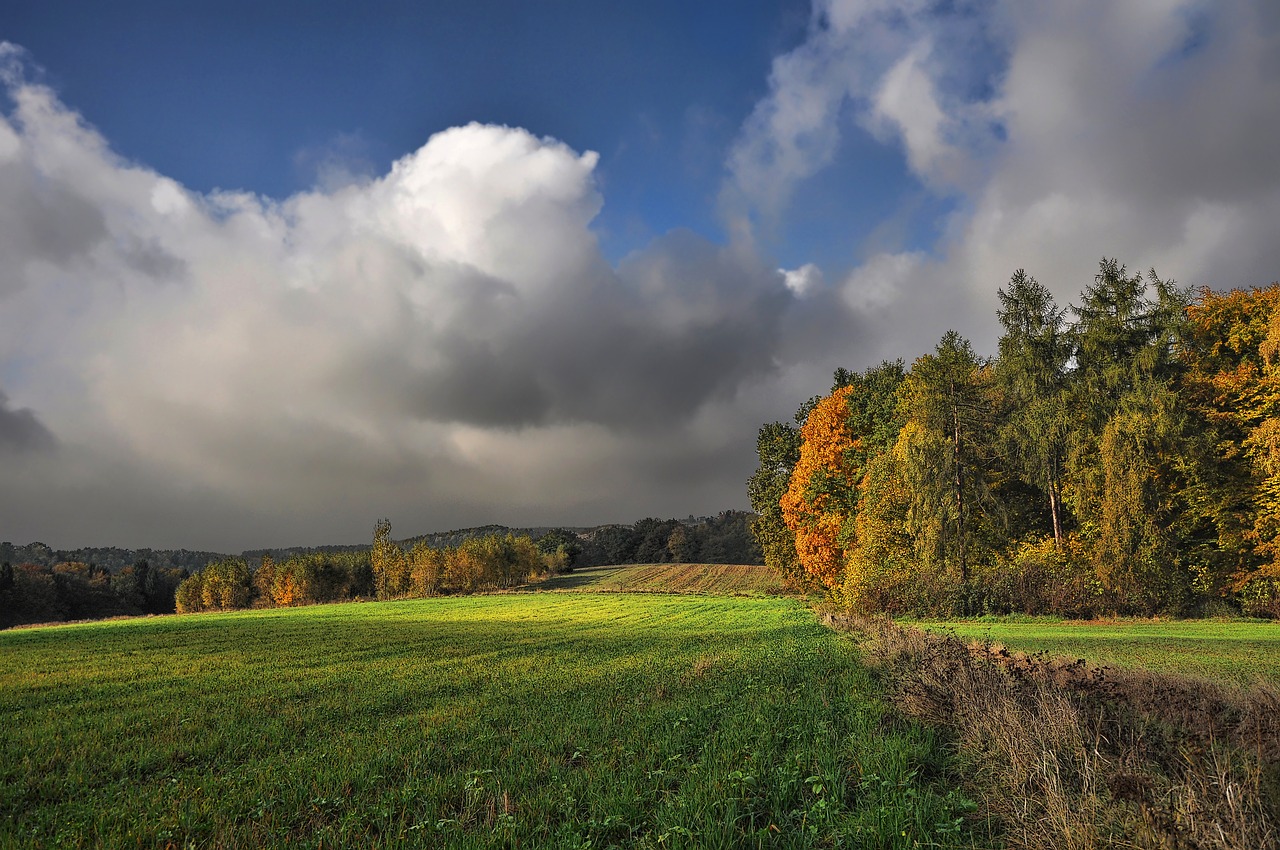 landscape nature clouds free photo