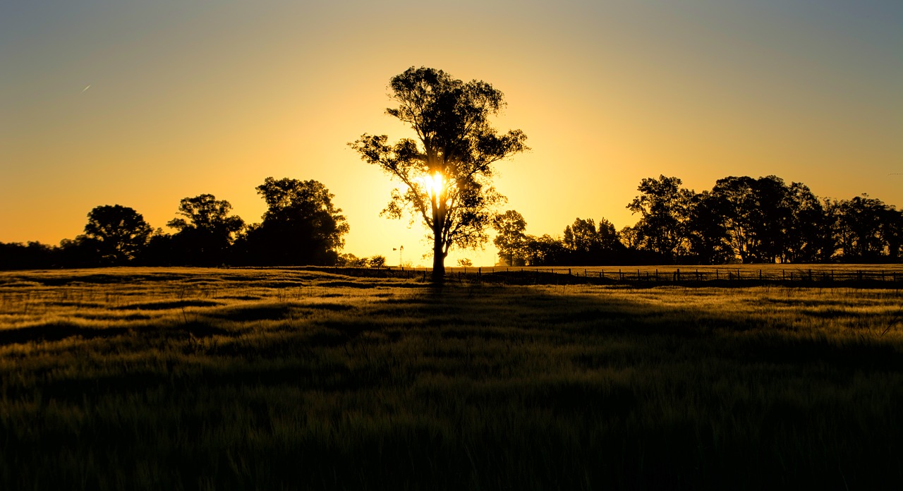 landscape sunset nature free photo