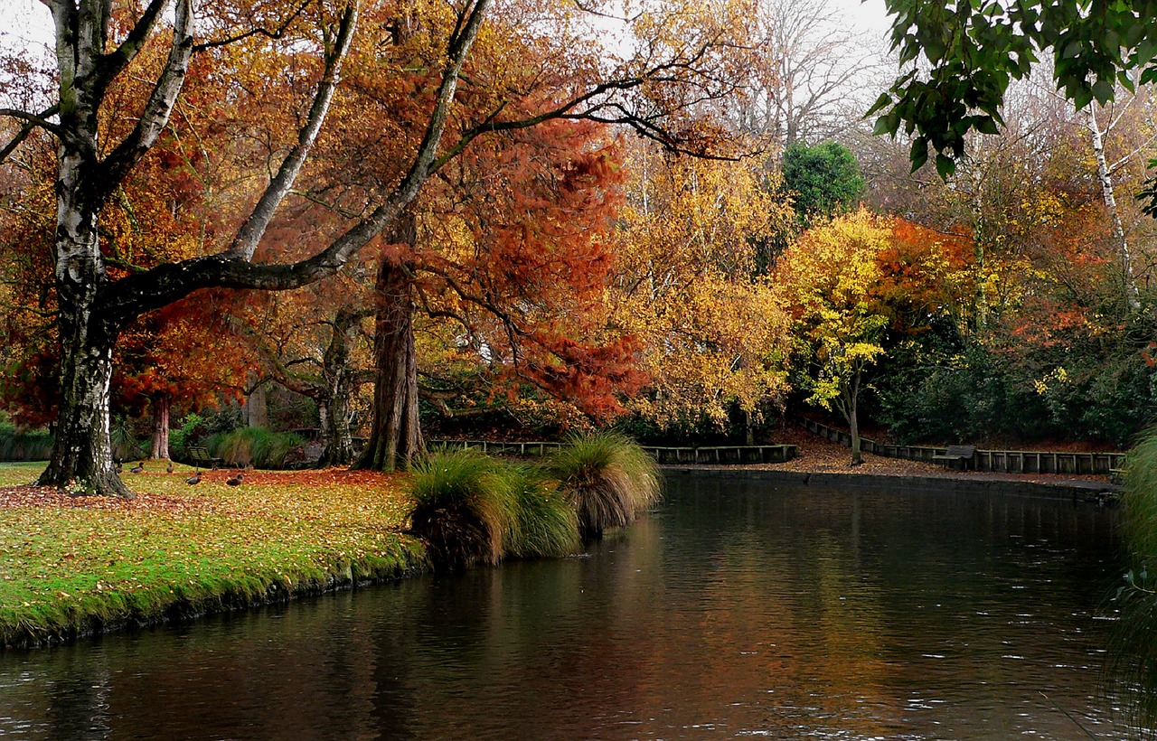 landscape scenic calm free photo