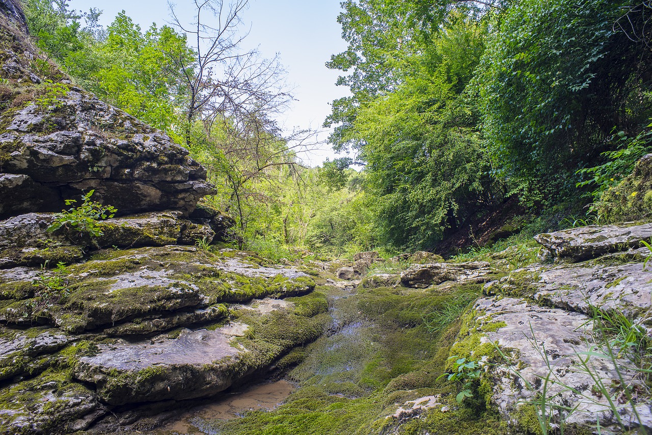 landscape vratza bulgaria free photo