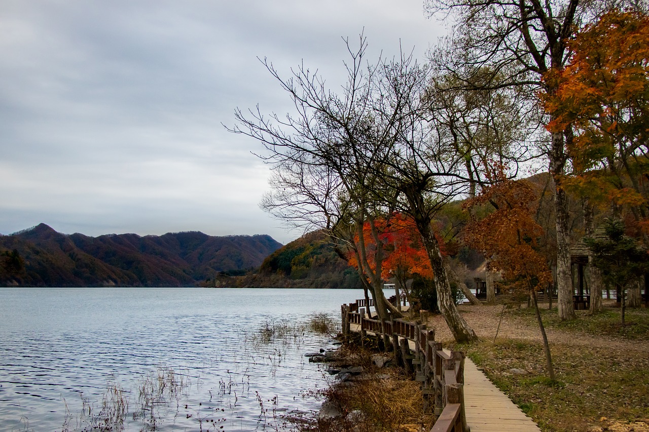 landscape nami korea free photo