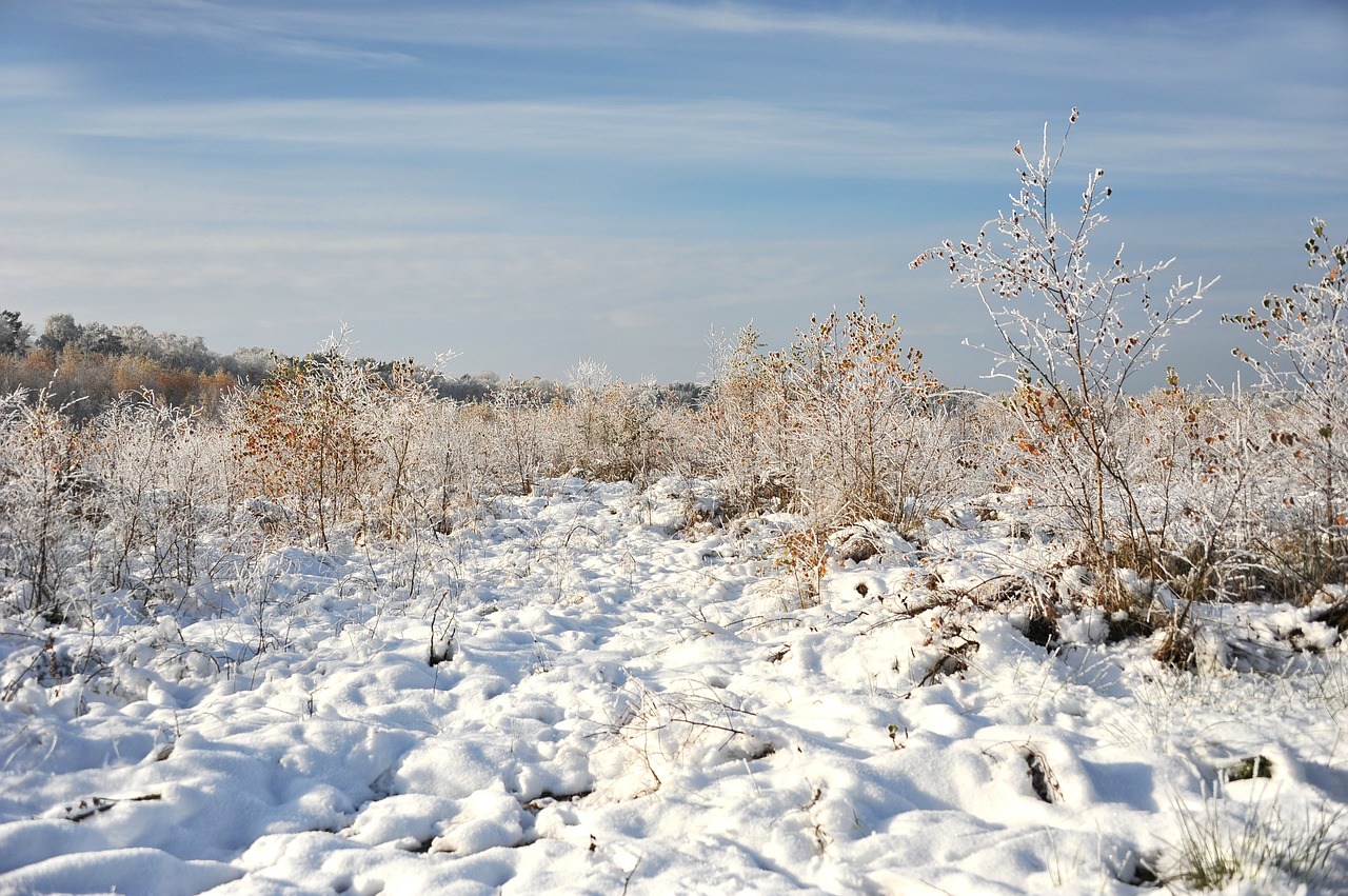 landscape peat moor free photo