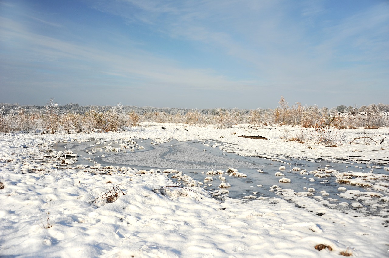 landscape peat moor free photo