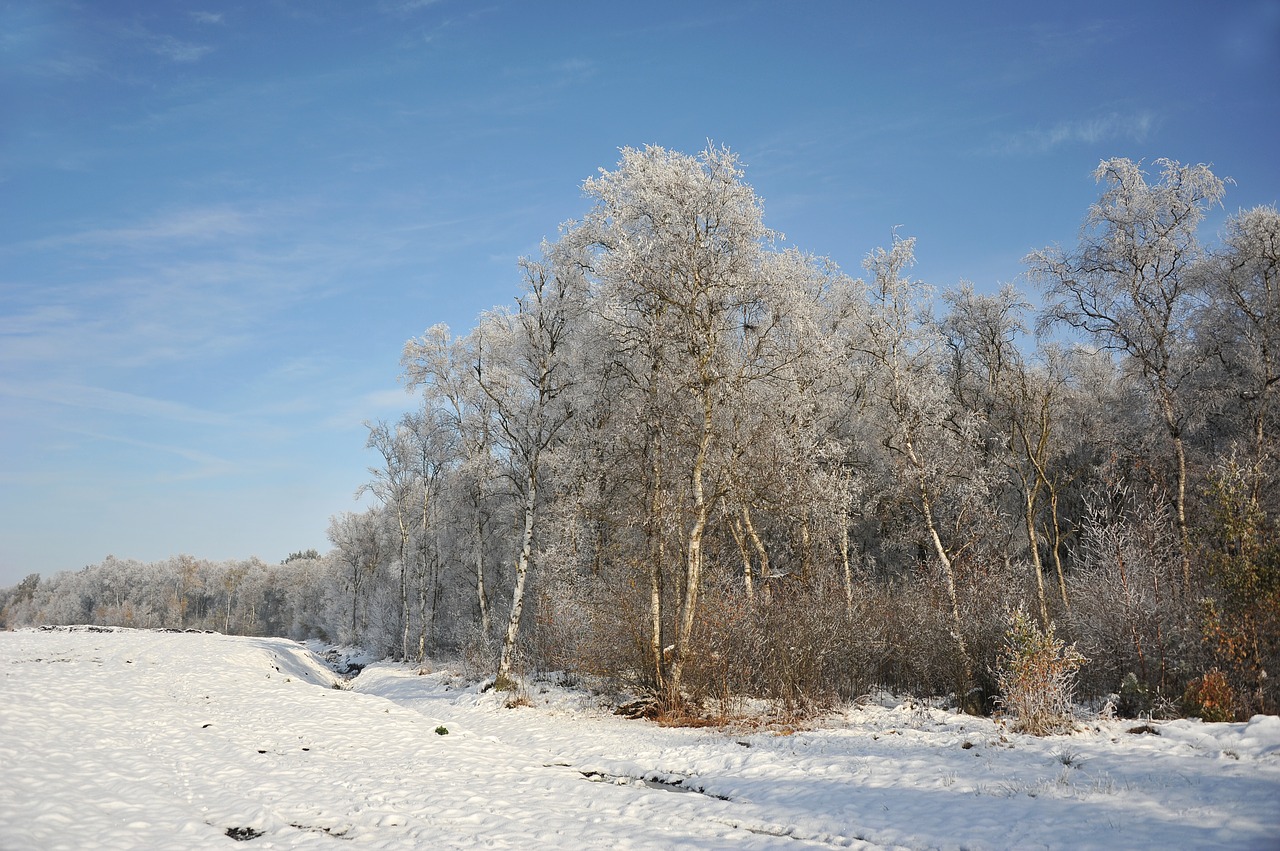 landscape peat moor free photo