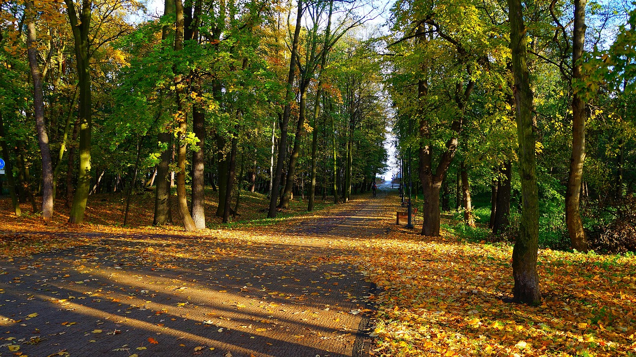 landscape view nature free photo