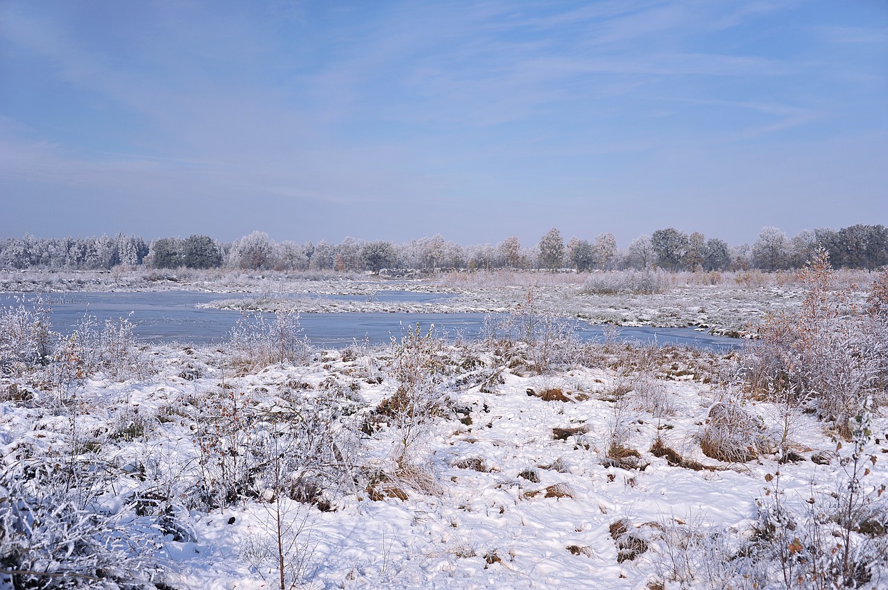 landscape peat moor free photo