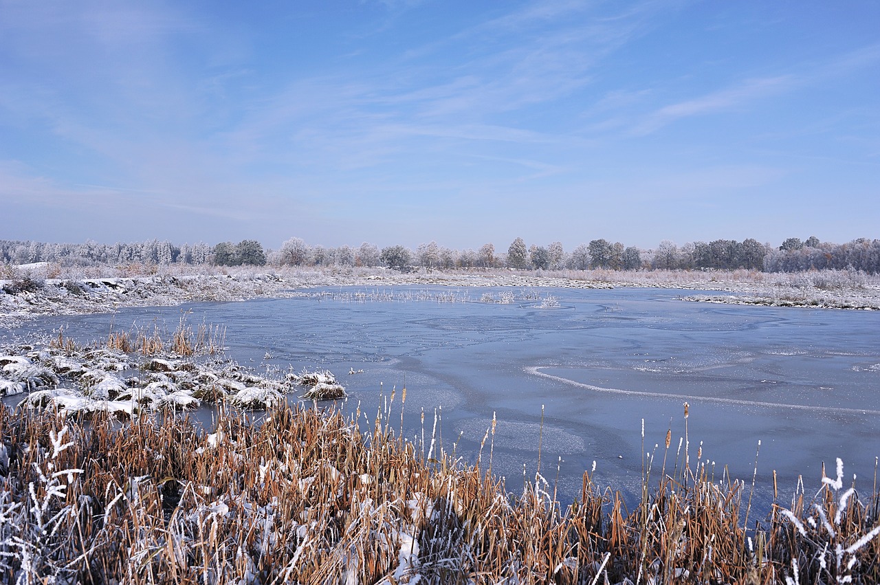 landscape peat moor free photo