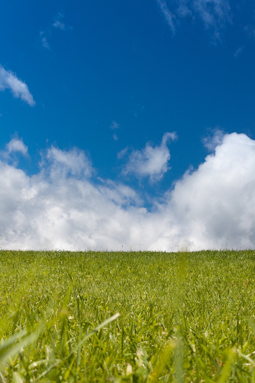 landscape sky clouds free photo