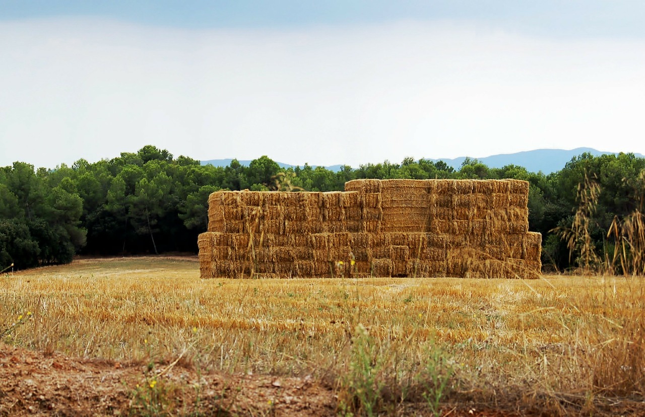 landscape summer haystack free photo