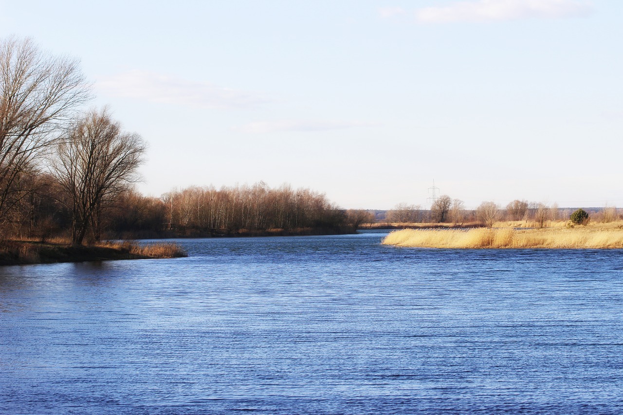 landscape lake trees free photo