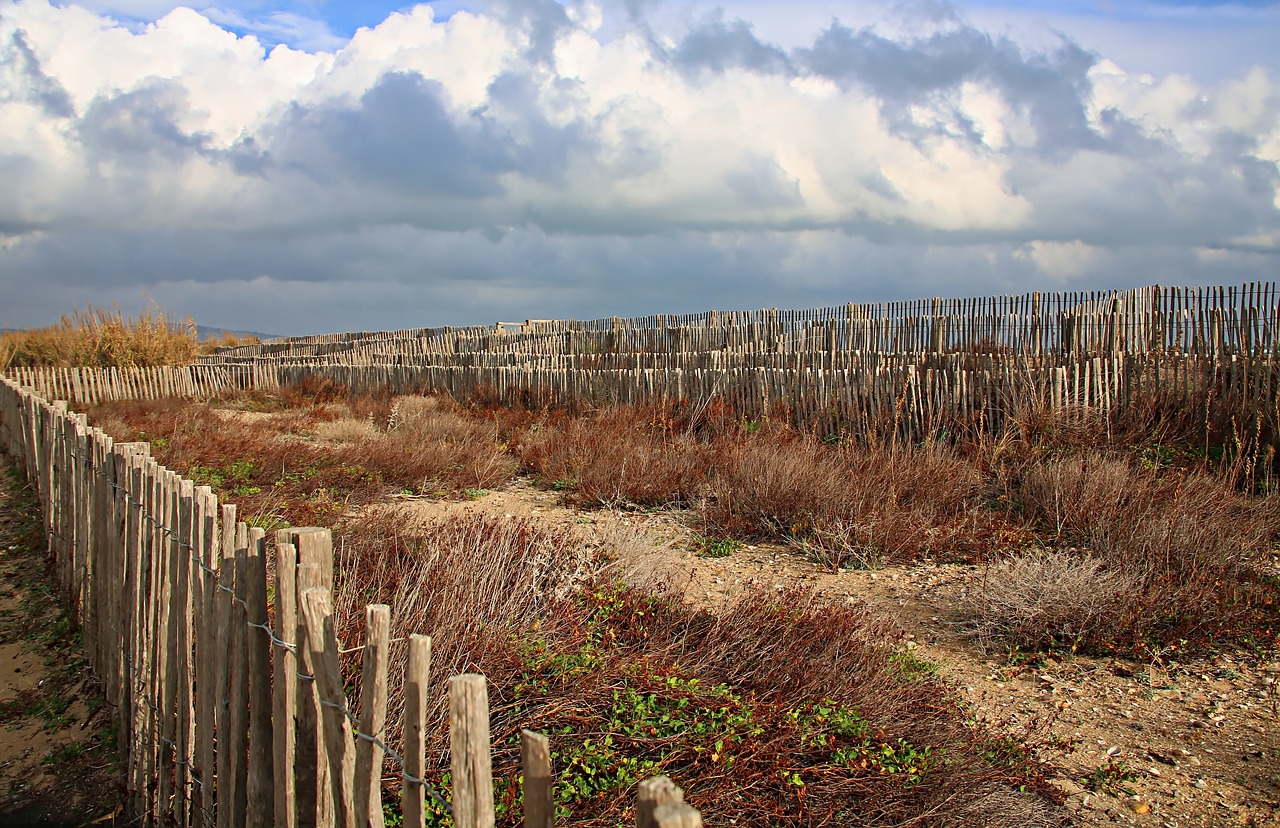 landscape scrubland beach free photo