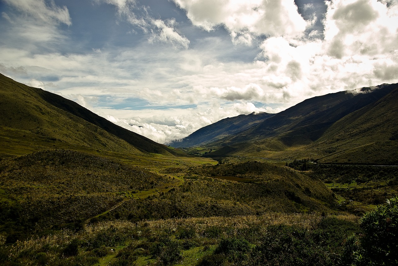 landscape arbo field free photo