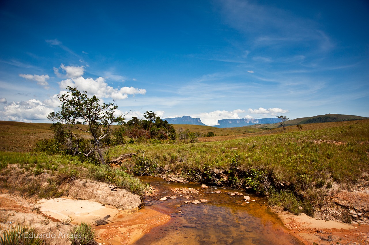 landscape bolivar summer free photo