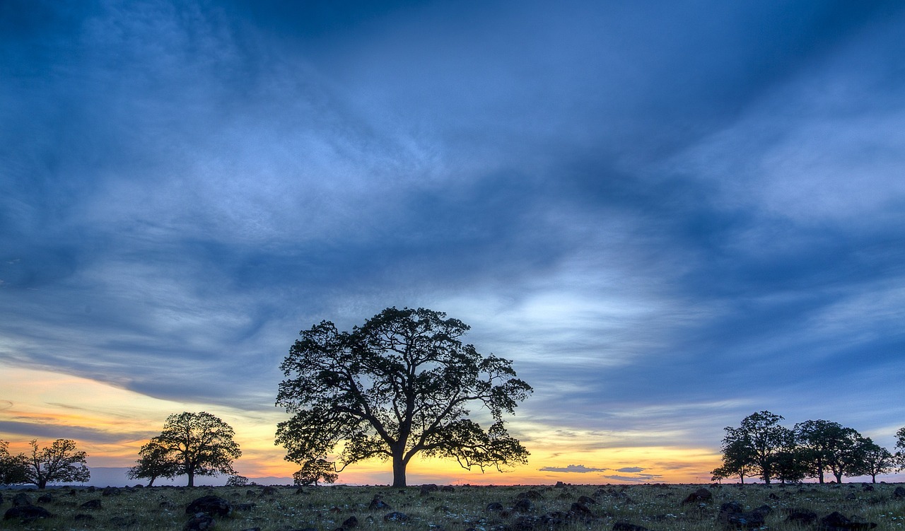 landscape scenic colorful free photo