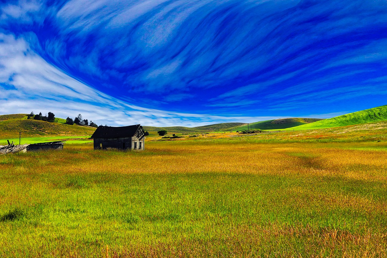 landscape scenic meadow free photo