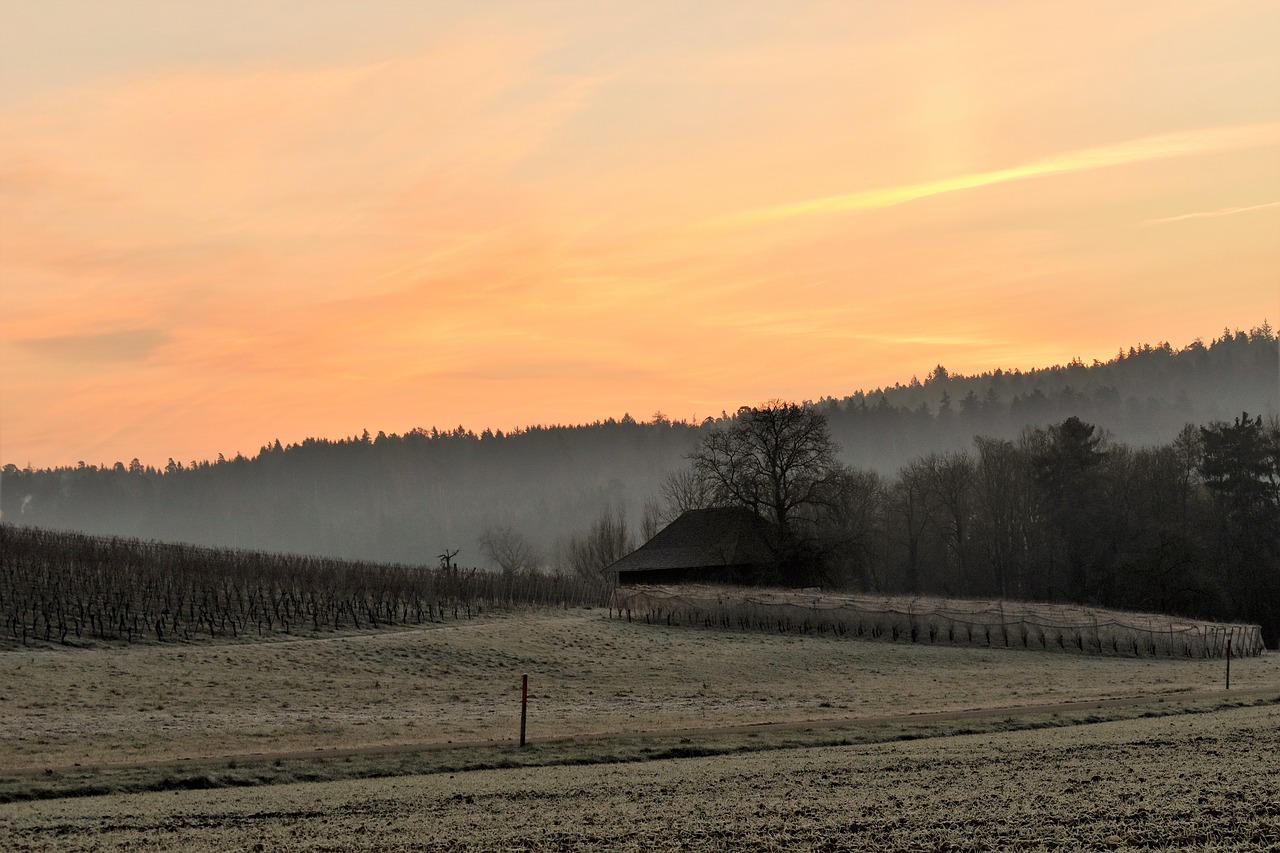 landscape morgenrot morgenstimmung free photo