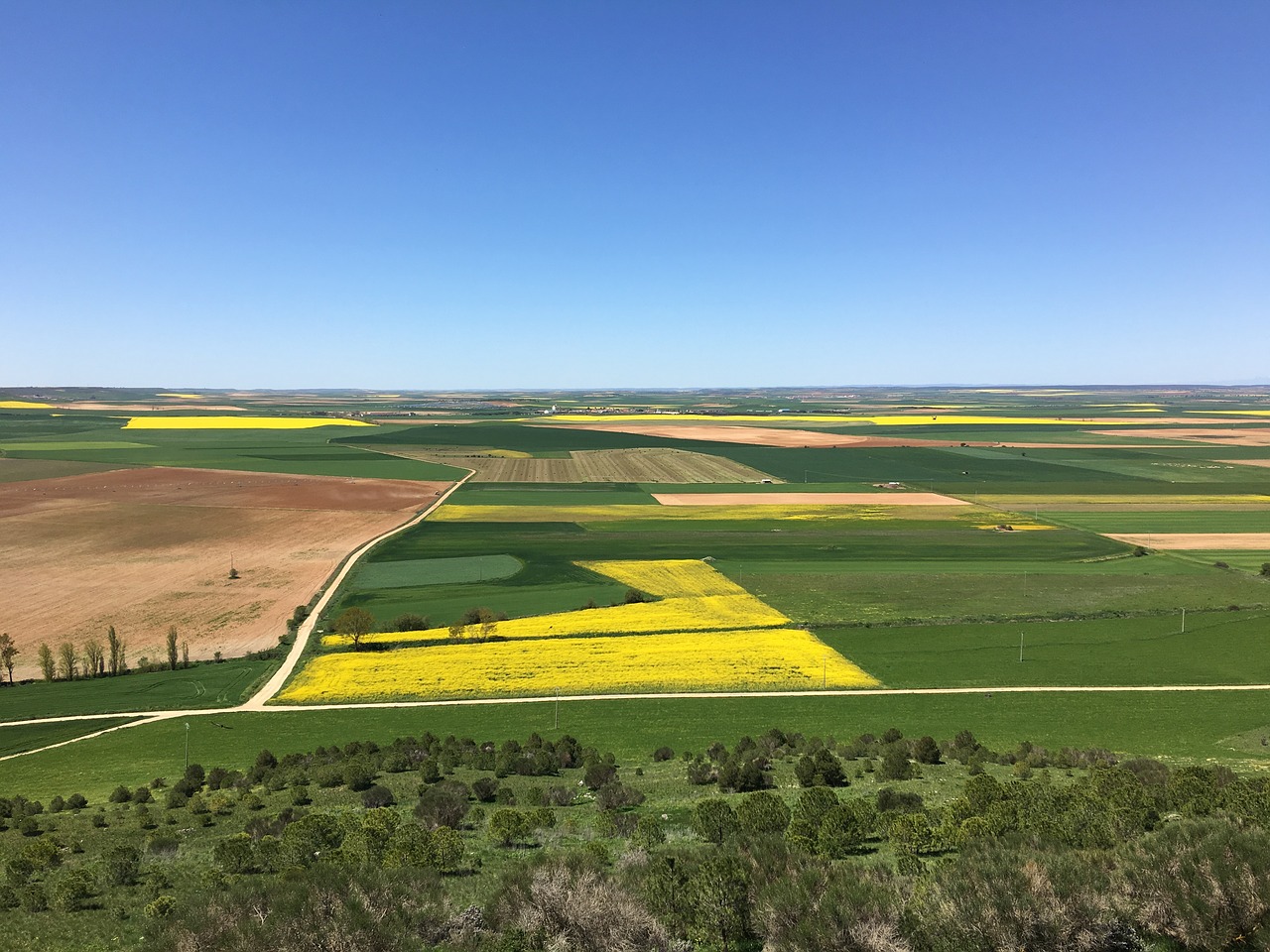 landscape field nature free photo