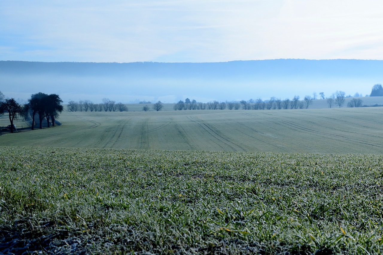 landscape frozen hoarfrost free photo