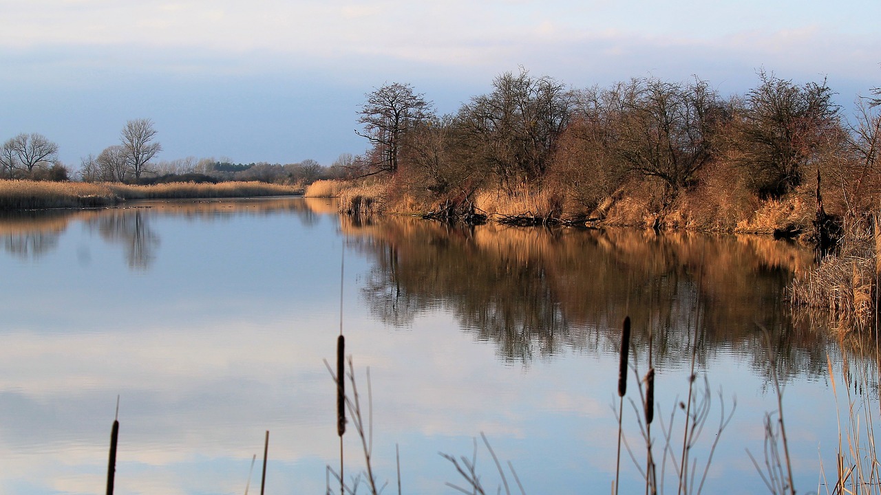 landscape winter cold free photo