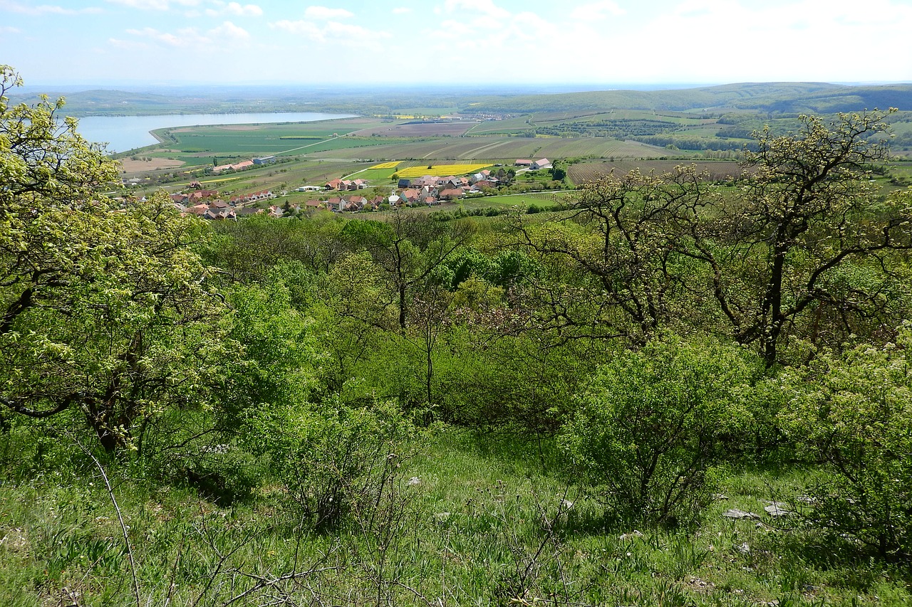 landscape agricultural landscape countryside free photo