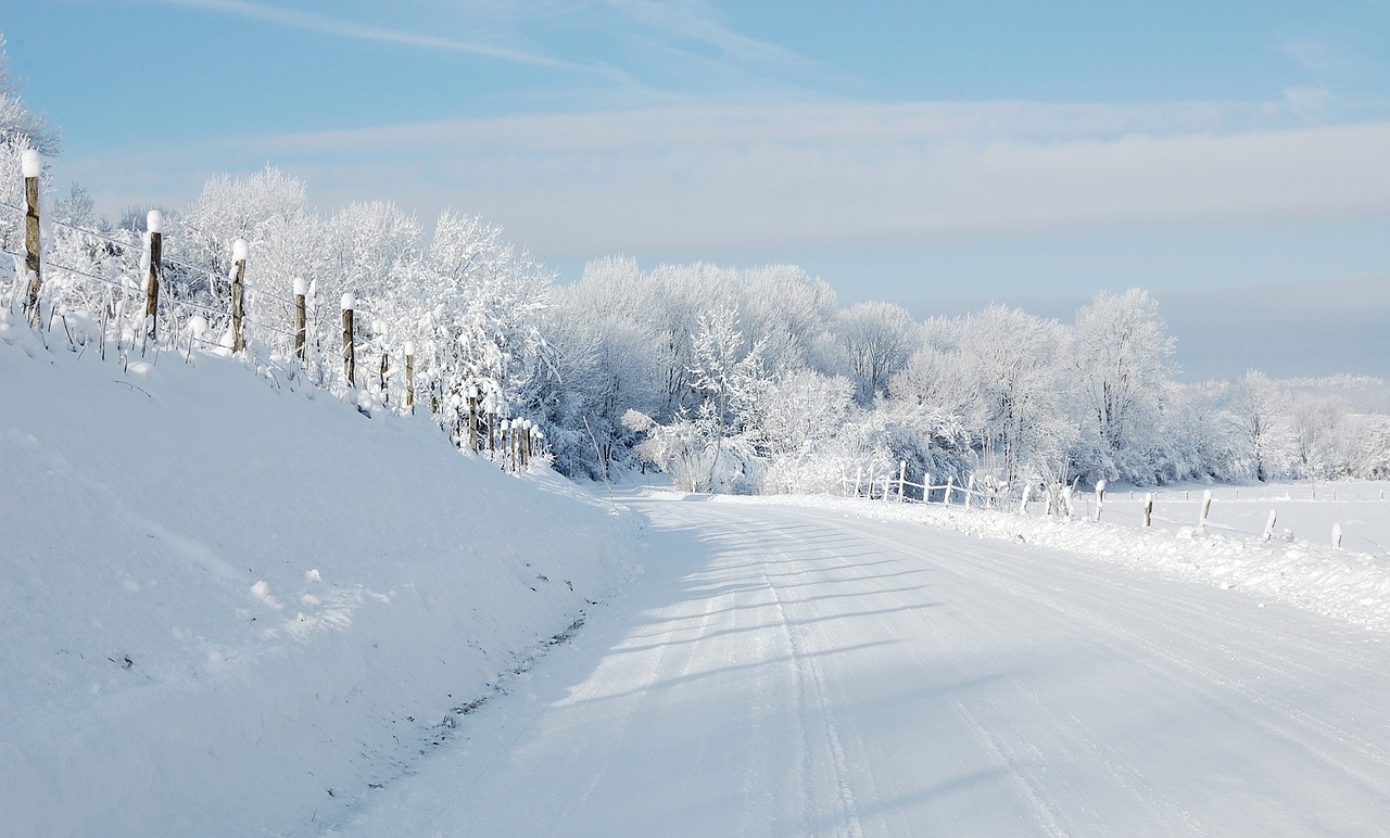 landscape snow winter free photo