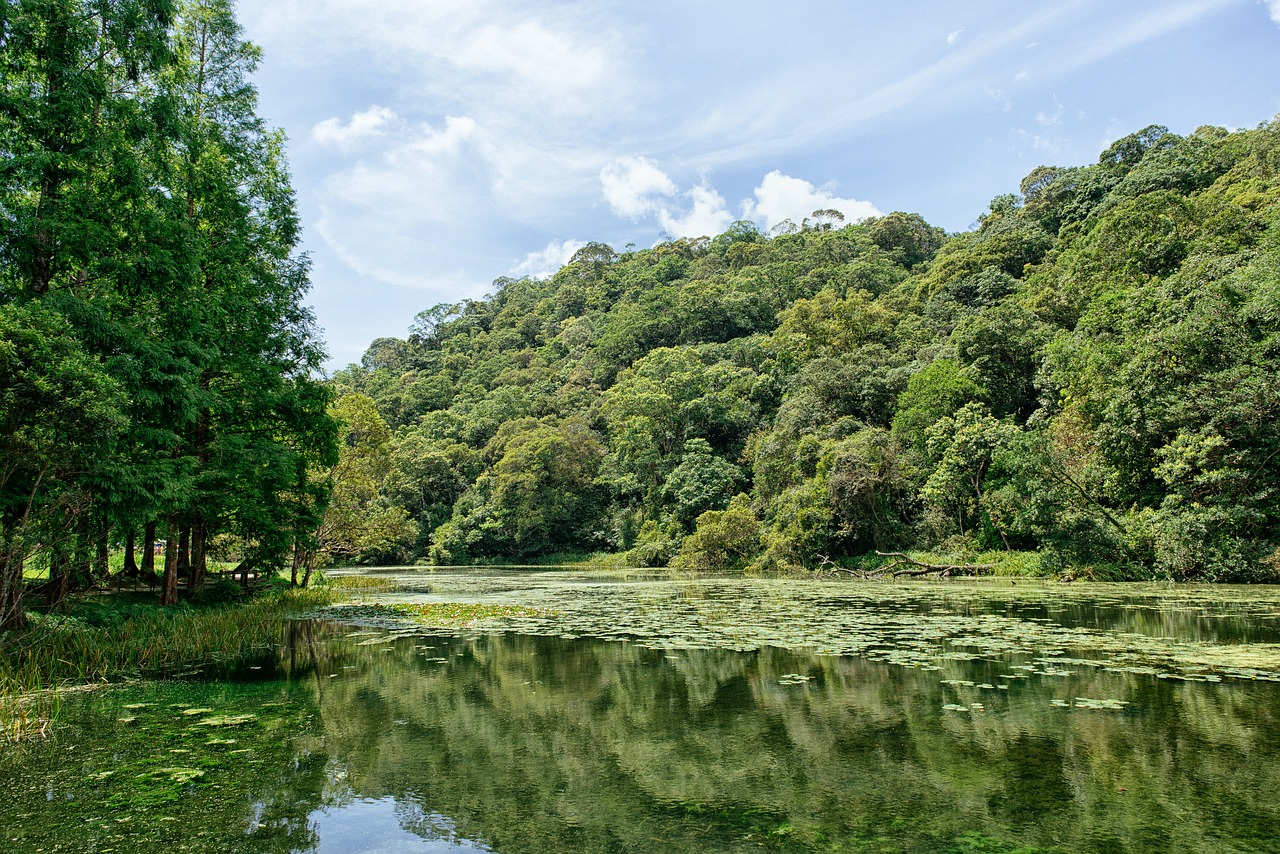 landscape lake view taiwan free photo