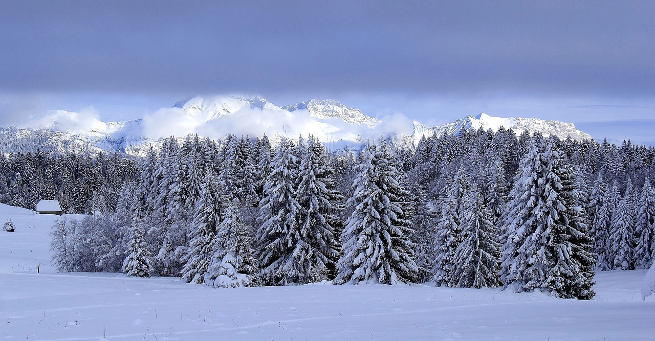 landscape snow winters free photo