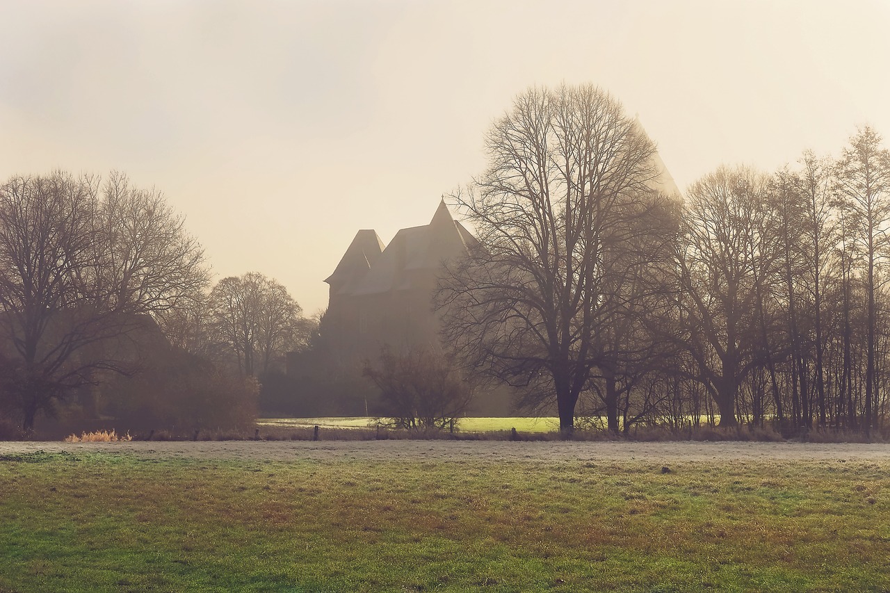 landscape fog nature free photo