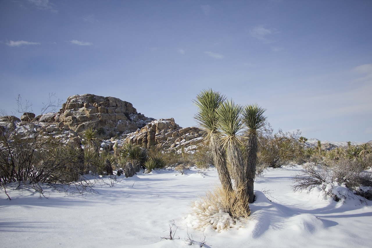 landscape scenic winter free photo