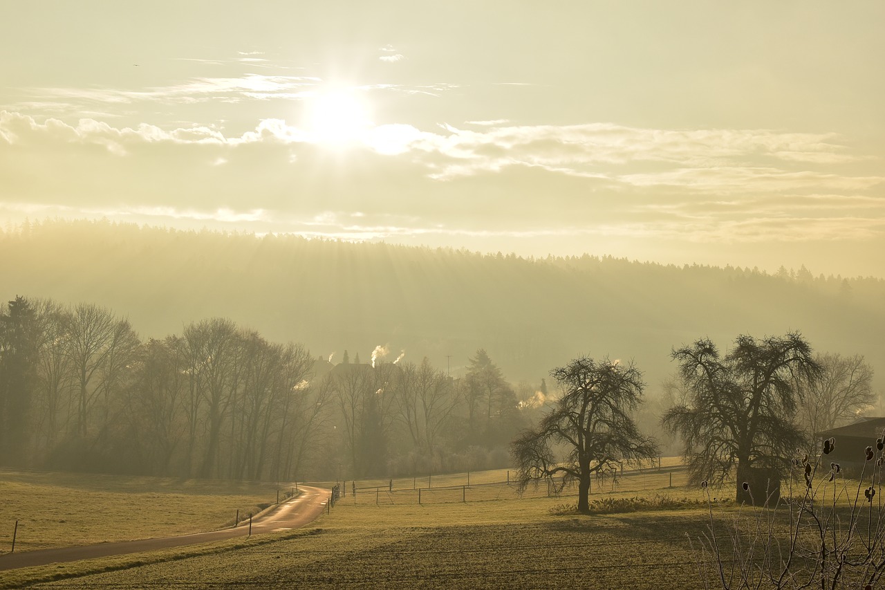 landscape fog morning sun free photo