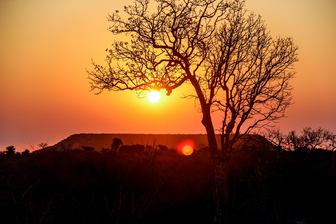 landscape madagascar mountains free photo