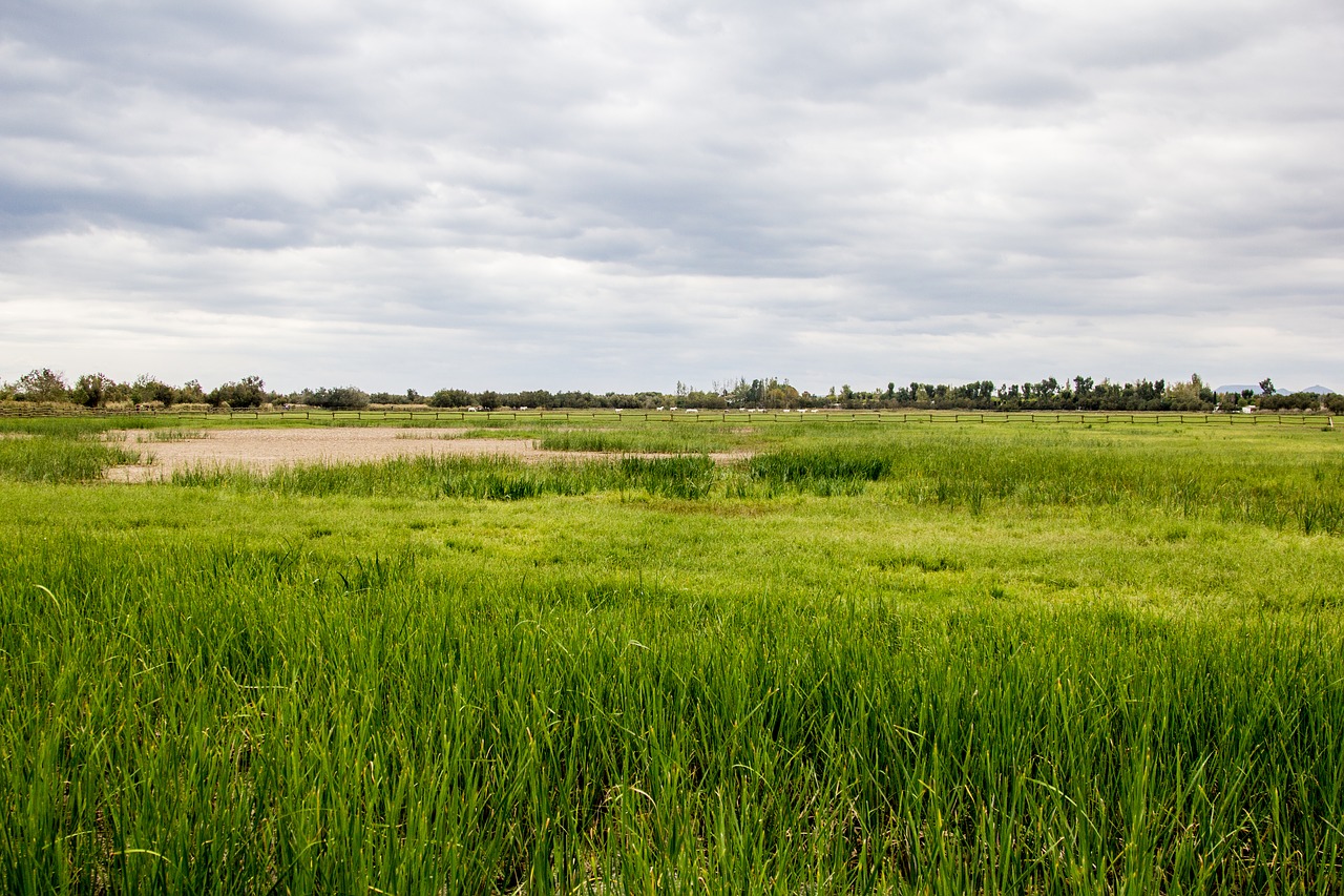 landscape natural park park free photo