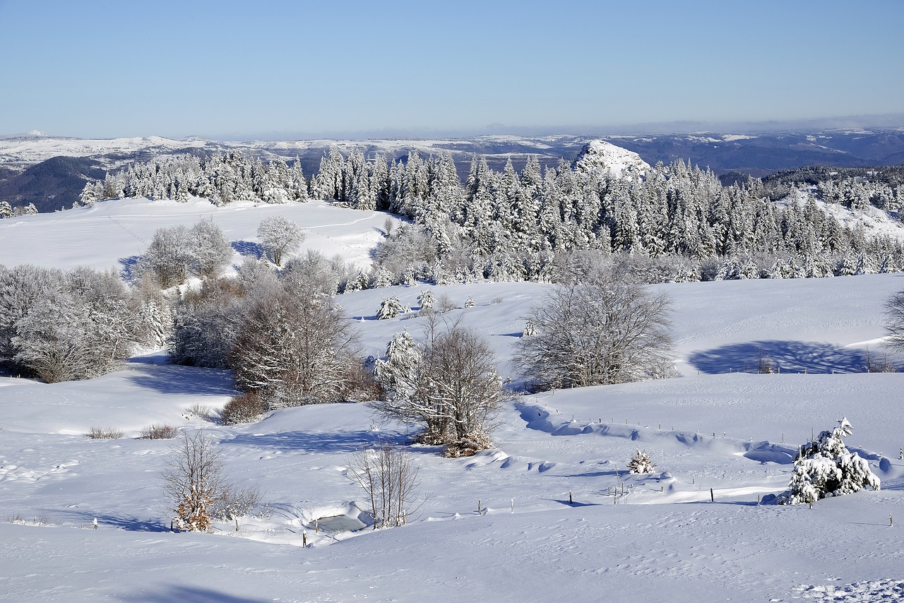 landscape snow winters free photo