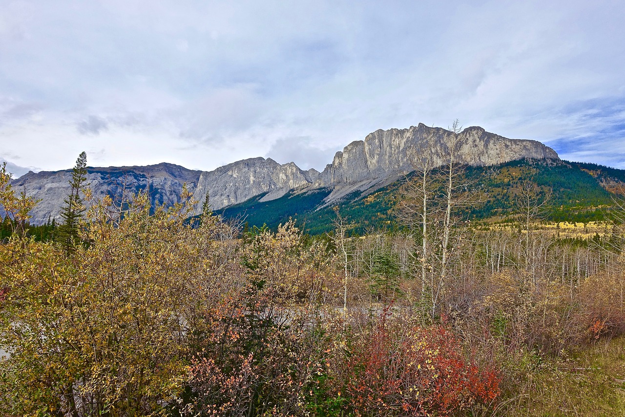 landscape rockies canada free photo