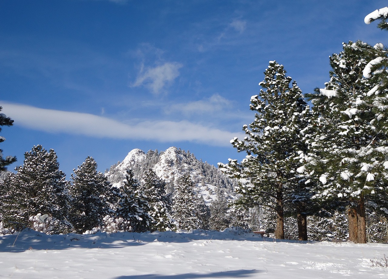 landscape scenic winter free photo