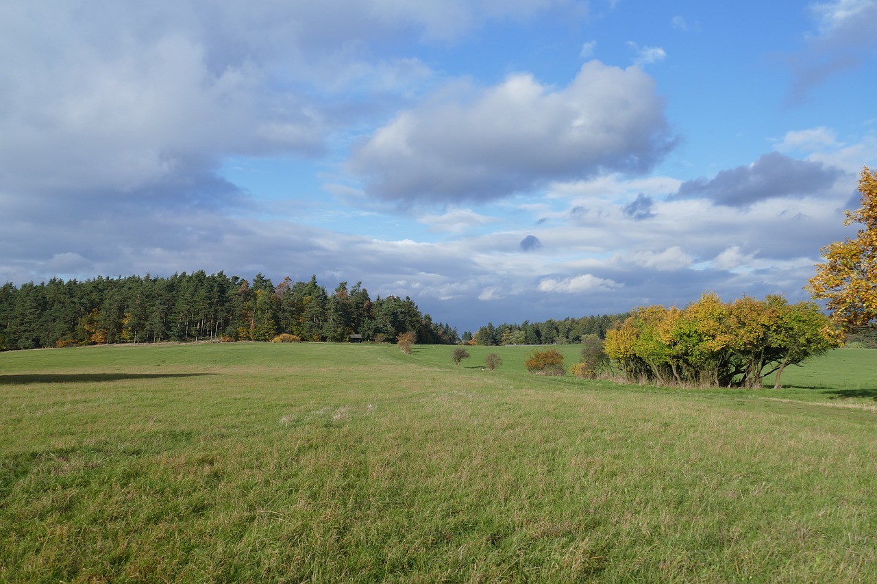 landscape autumn meadow free photo