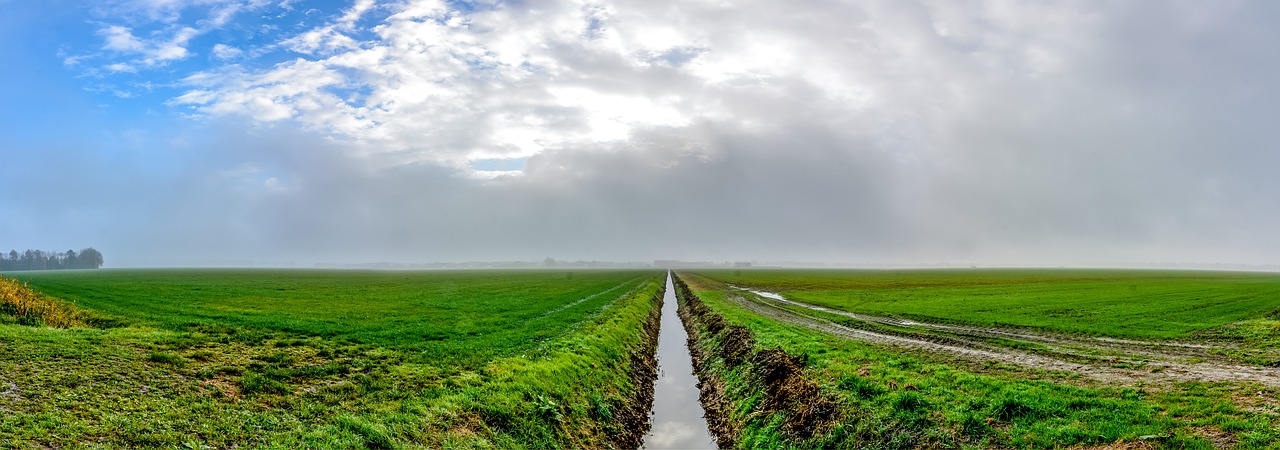 landscape polder netherlands free photo