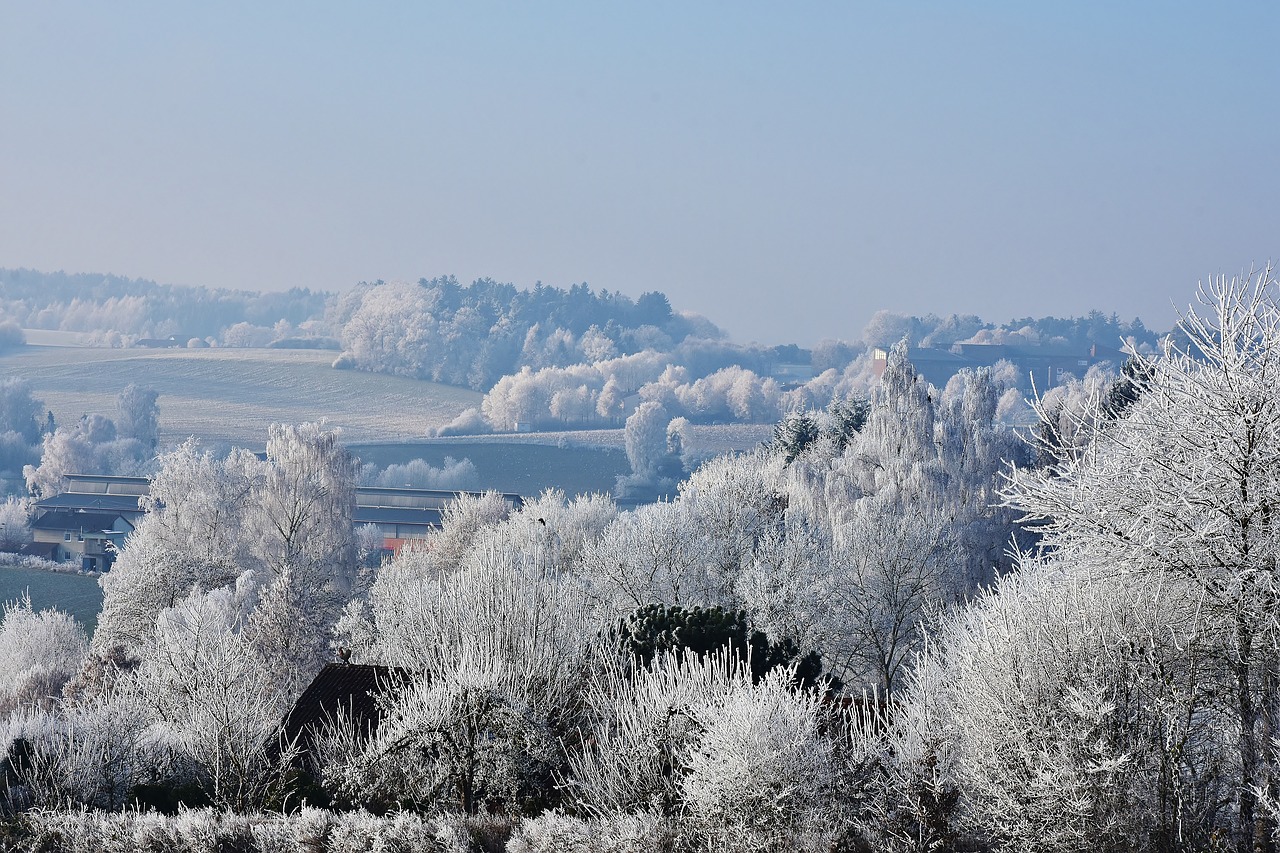 landscape winter trees free photo