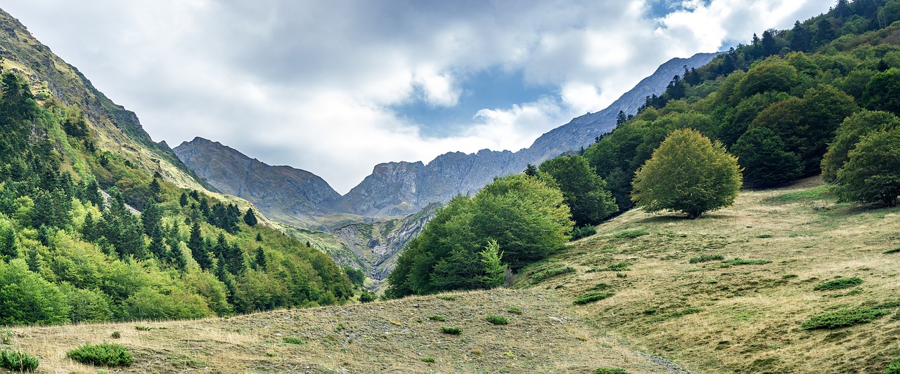 landscape nature panorama free photo