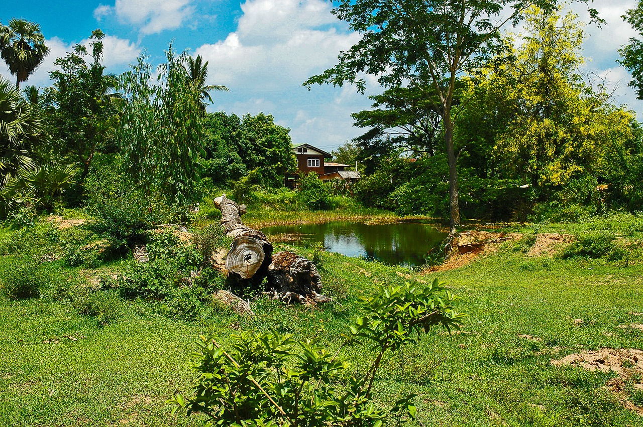 landscape home pond free photo