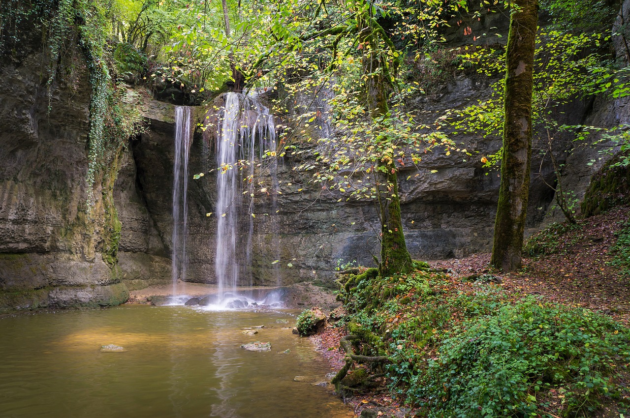 landscape river forest free photo